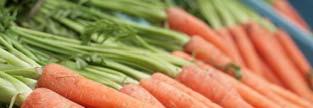 Drugi derivati tokoferola -tokoferil acetat H -tokoferil sukcinat Estri se uporabljajo v pripravkih z vitaminom E, ker so bolj