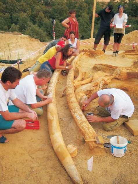 Υπάρχει αρκετή κινητικότητα, πολλά πράγματα