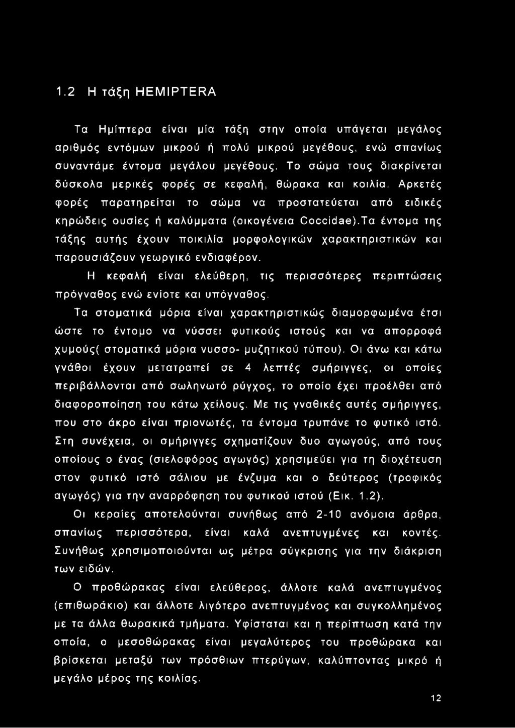 Τα έντομα της τάξης αυτής έχουν ποικιλία μορφολογικών χαρακτηριστικών και παρουσιάζουν γεωργικό ενδιαφέρον. Η κεφαλή είναι ελεύθερη, τις περισσότερες περιπτώσεις πρόγναθος ενώ ενίοτε και υπόγναθος.