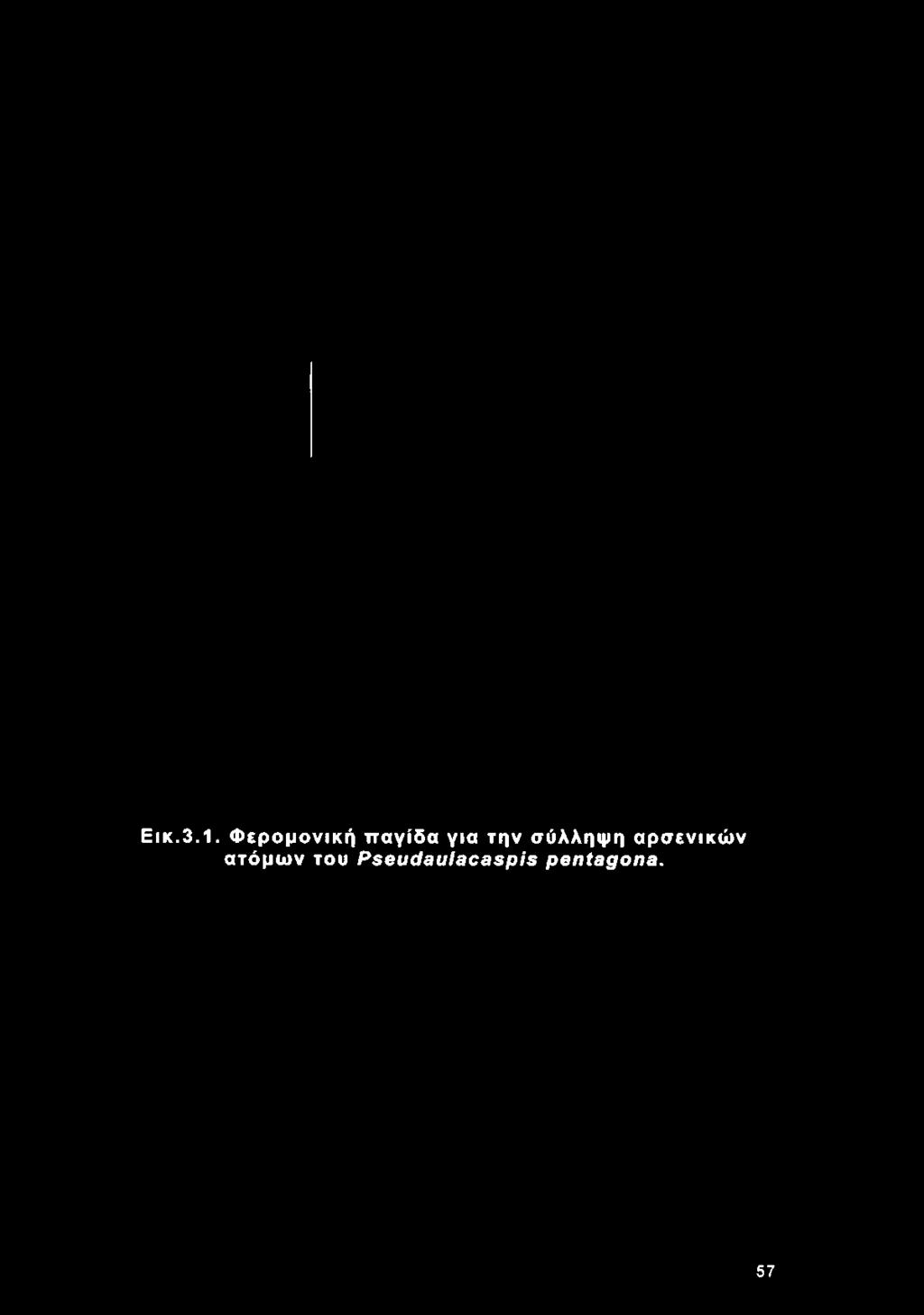 Εικ.3.1.
