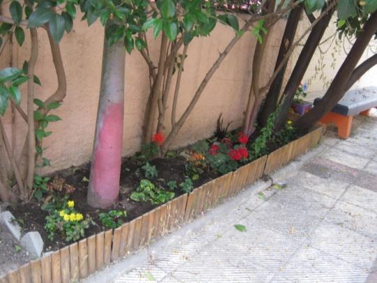το αποτέλεσμα των παρεμβάσεών