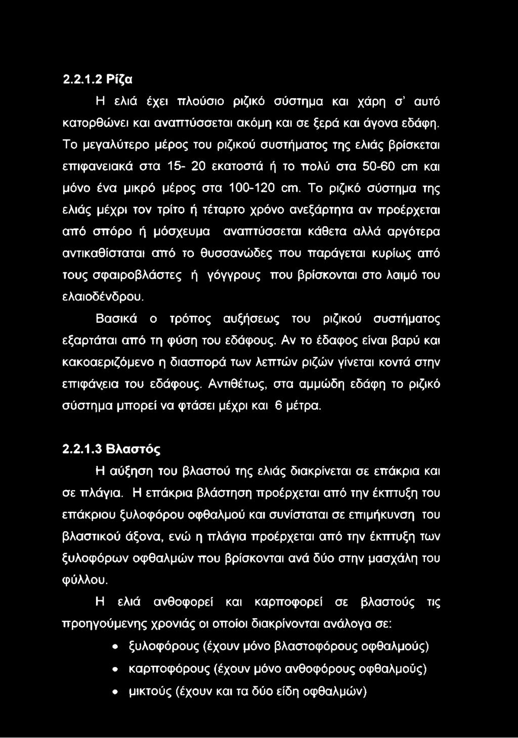 Το ριζικό σύστημα της ελιάς μέχρι τον τρίτο ή τέταρτο χρόνο ανεξάρτητα αν προέρχεται από σπόρο ή μόσχευμα αναπτύσσεται κάθετα αλλά αργότερα αντικαθίσταται από το θυσσανώδες που παράγεται κυρίως από