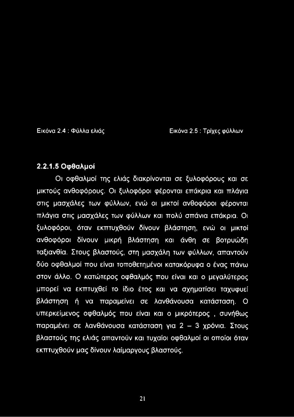 επάκρια. Οι ξυλοφόροι, όταν εκπτυχθούν δίνουν βλάστηση, ενώ οι μικτοί ανθοφόροι δίνουν μικρή βλάστηση και άνθη σε βοτρυώδη ταξιανθία.