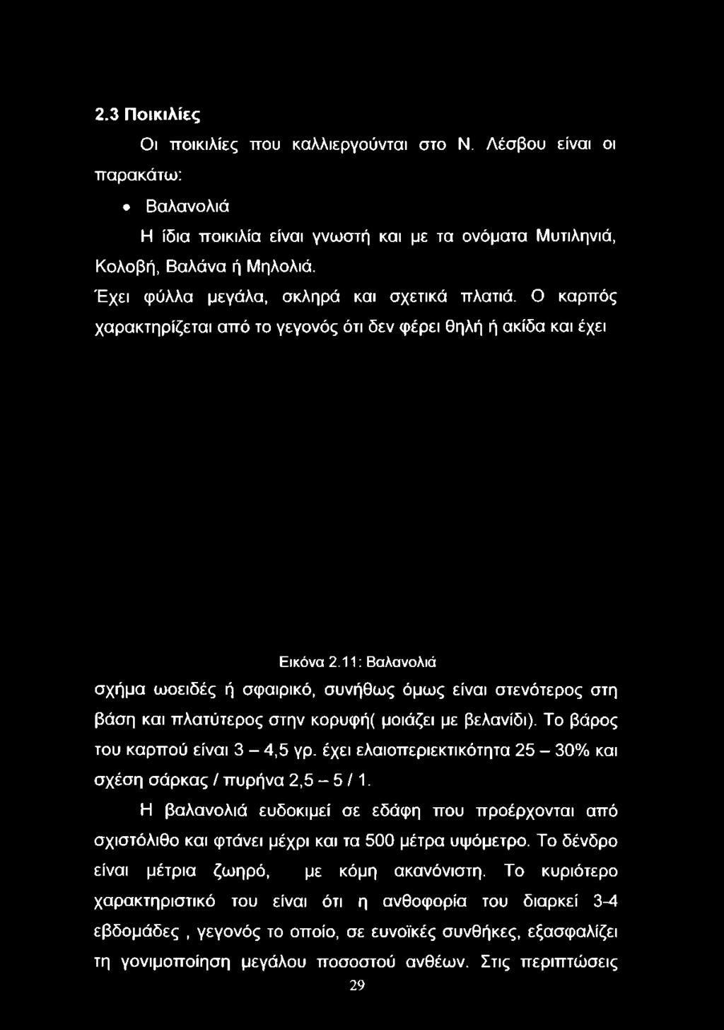 Έχει φύλλα μεγάλα, σκληρά και σχετικά πλατιά. Ο καρπός χαρακτηρίζεται από το γεγονός ότι δεν φέρει θηλή ή ακίδα και έχει Εικόνα 2.