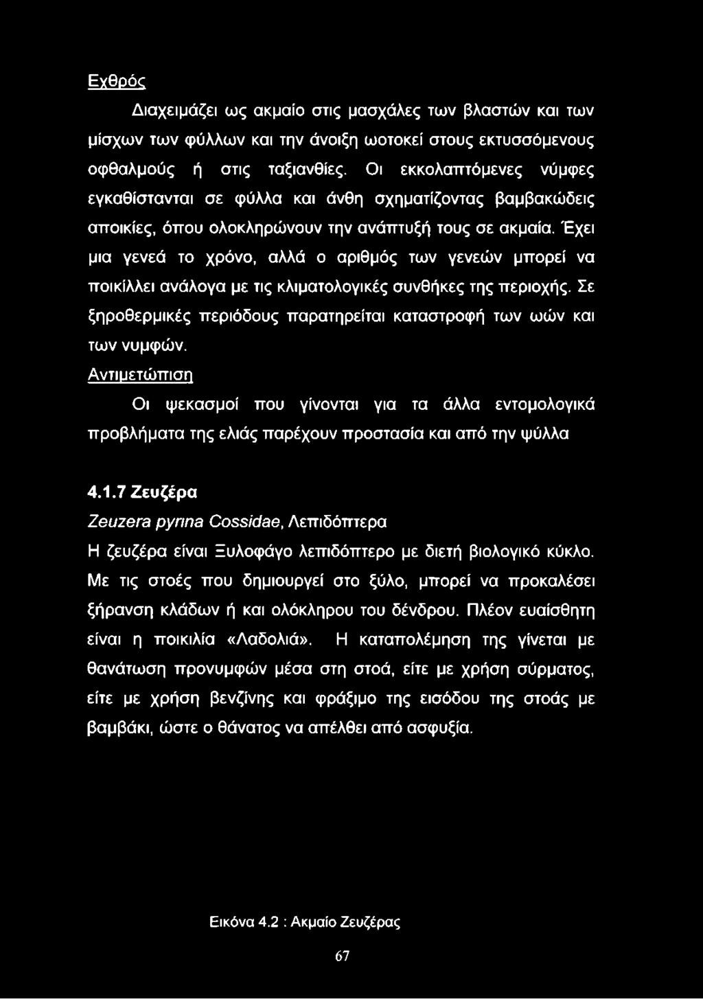 Έχει μια γενεά το χρόνο, αλλά ο αριθμός των γενεών μπορεί να ποικίλλει ανάλογα με τις κλιματολογικές συνθήκες της περιοχής.