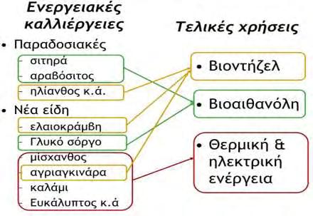 1.4.2 Είδη ενεργειακών καλλιεργειών και χρήσεις Οι ενεργειακές καλλιέργειες αναφέρονται σε δύο κύριες κατηγορίες τις γεωργικές και τις δασικές.