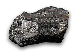 .. Mandibule i ovipozitori sa metalnim