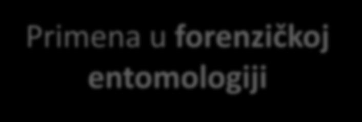 Muva zunzara Primena u forenzičkoj entomologiji L.