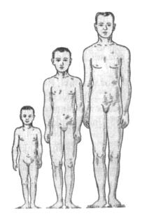 24). Somatotrop hormon boyun inkişafına təsir edir. Onun çatışmazlığı yaşdan asılı olaraq müxtəlif dəyişikliklər törədir. Uşaqlarda hipofizin ön payının hipofunksiyası boyun inkişafını ləngidir.