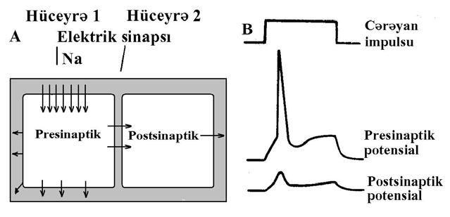 həyata keçirilə bilər. Bu prinsip şəkil 6.19-da göstərilmişdir.
