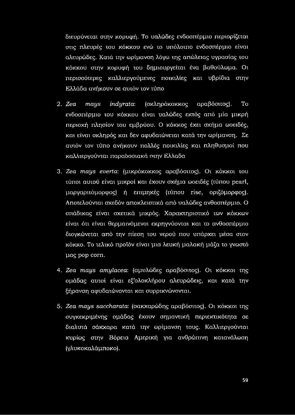 Zea m ays indyrata: (σκληρόκοκκος αραβόσιτος). Το ενδοσπέρμιο του κόκκου είναι υαλώδες εκτός από μία μικρή περιοχή πλησίον του εμβρύου.