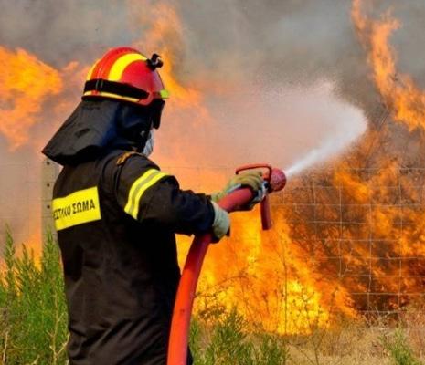 ΙΑΣ Άλσος άνωθεν Αγίων Θεοδώρων - Κεραμίδι Άλσος Αγίου Λουκά Νεκροταφείο Ζαγαράς Αναδασωτέο τμήμα Β.Δ.