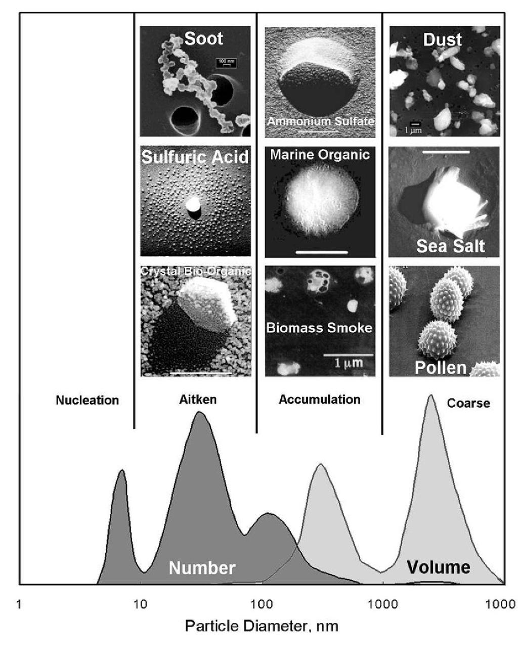 AEROSOLUL ATMOSFERIC (1) Exista aerosol primar, format din particule care sunt emise sau injectate direct in atmosfera.