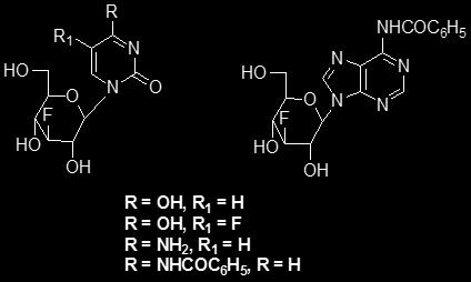 1.9. Πυρανονουκλεοζίτες Μεγάλη προσπάθεια στην έρευνα για την ανάπτυξη αντικαρκινικών και αντιΐκών νουκλεοζιτών επικεντρώθηκε στην σύνθεση και μελέτη νουκλεοζιτικών αναλόγων που έφεραν ως σάκχαρο μια
