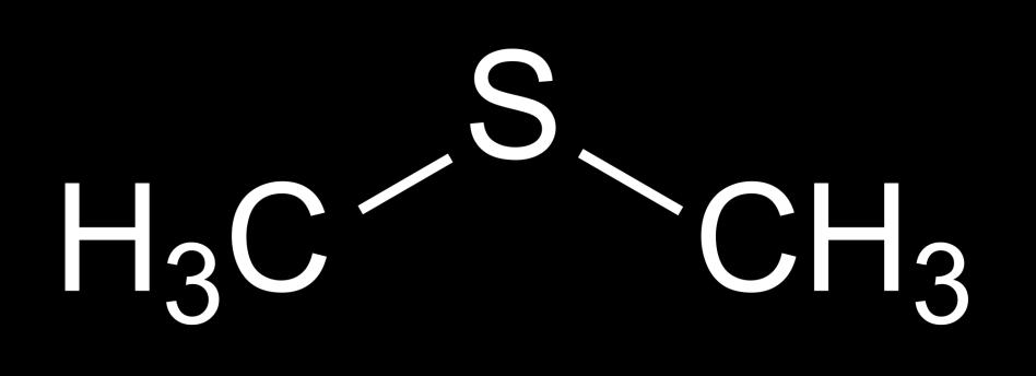 Dimethyl Sulfide (DMS) Χημικός Τύπος: C 2 H 6 S Άρωμα: μαγειρεμένο μπρόκολο/καλαμπόκι, βρώμικο φυτικό έλαιο Συγκεντρώσεις: 10-150 μg/l Όρια αντίληψης: 25-50μg/L (γενικά 10-150 μg/l) Πως προκαλείται;