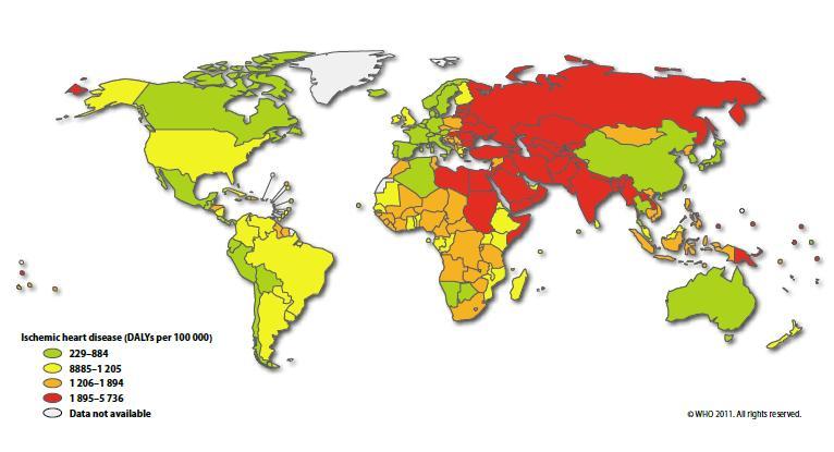 Εικόνα 3. Παγκόσμιος χάρτης όπου απεικονίζονται τα χαμένα έτη υγιούς ζωής τα οποία αποδίδονται στη Στεφανιαία Νόσο, για τον πληθυσμό των αντρών (Πηγή: World Health Organization. 2004.