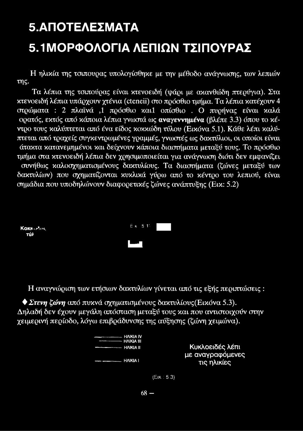 Τα λέπια κατέχουν 4 στρώματα : 2 πλαϊνά,1 πρόσθιο καιΐ οπίσθιο.