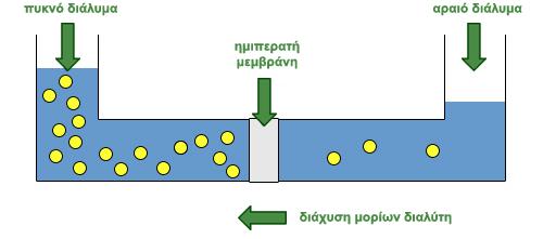 6 Ωςμωςη Ώςμωςη είναι θ κίνθςθ των μορίων νεροφ από περιοχζσ ςτισ οποίεσ θ ςυγκζντρωςθ των διαλυμζνων ουςιϊν (ωςμωτική ςυγκζντρωςη) είναι μικρι προσ περιοχζσ όπου θ ςυγκζντρωςθ των διαλυμζνων ουςιϊν