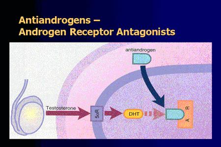 Anaboolsed steroidid Nandrolool Tavaliselt süstitakse depoosüstina (õlilahus) 1-3 korda nädalas, on olemas peroraalseid ja transdermaalseid ravimvorme.