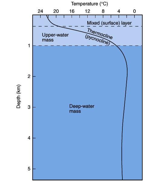 Τα στρώματα των ωκεανών: Επιφανειακό Κατακόρυφη κατανομή Αναμεμειγμένο, μεγάλες θερμοκρασιακές μεταβολές στον χρόνο, πάχος 50-200 m Ενδιάμεσο (θερμοκλινές) Βαθύ 3.4.