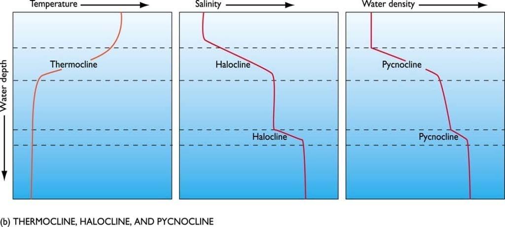 3.5. Πυκνότητα Ορισμοί και συμβολισμοί Οι παράγοντες που επηρεάζουν την πυκνότητα του θαλασσινού νερού είναι: Θερμοκρασία