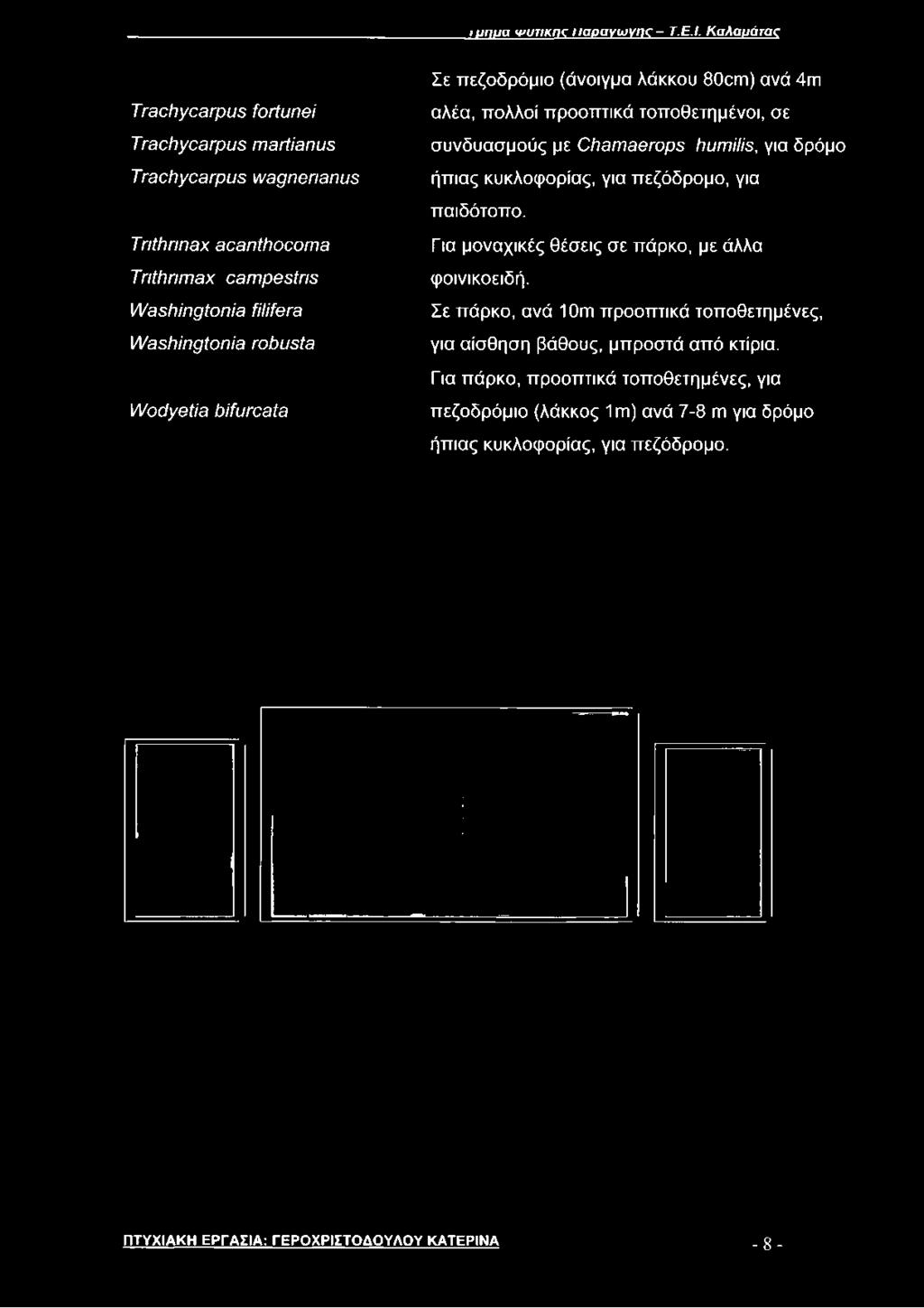 προοπτικά τοποθετημένοι, σε συνδυασμούς με ΟίίθηΐθβΓορΒ ΙιυπιΜε, για δρόμο ήπιας