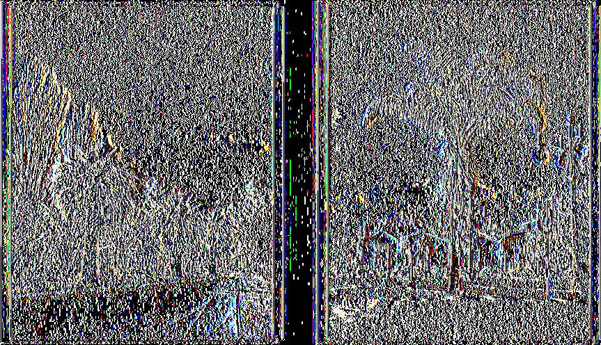 Τυήυα Φυτικής Παοανωνής - Τ.Ε.Ι.