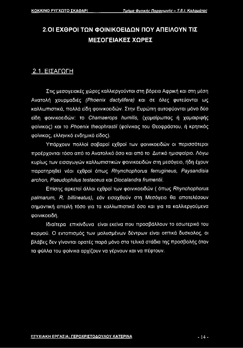 ΕΙΣΑΓΩΓΗ Στις μεσογειακές χώρες καλλιεργούνται στη βόρεια Αφρική και στη μέση Ανατολή χουρμαδιές (Phoenix dactylifera) και σε όλες φυτεύονται ως καλλωπιστικά, πολλά είδη φοινικοειδών.