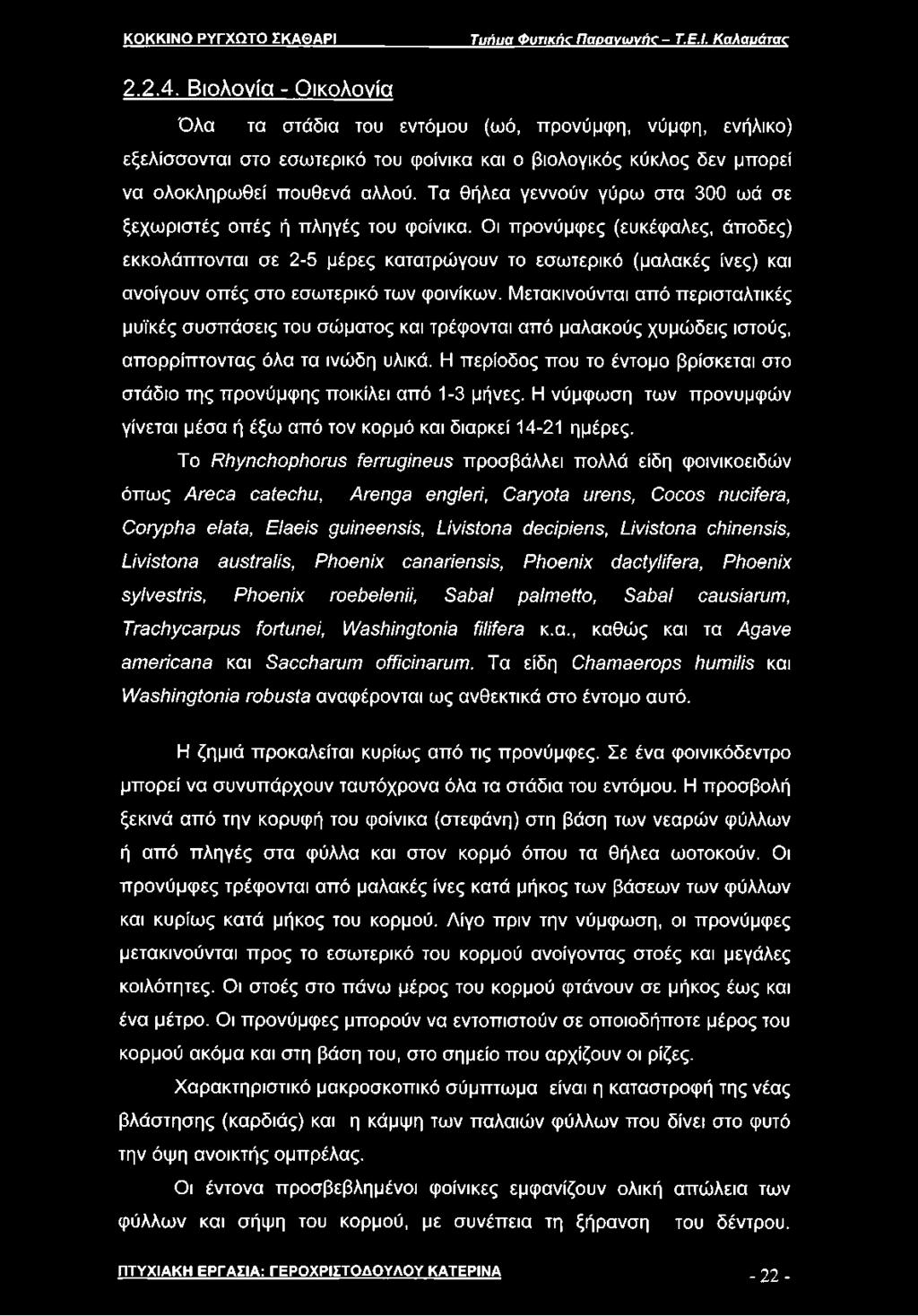 Τα θήλεα γεννούν γύρω στα 300 ωά σε ξεχωριστές οπές ή πληγές του φοίνικα.