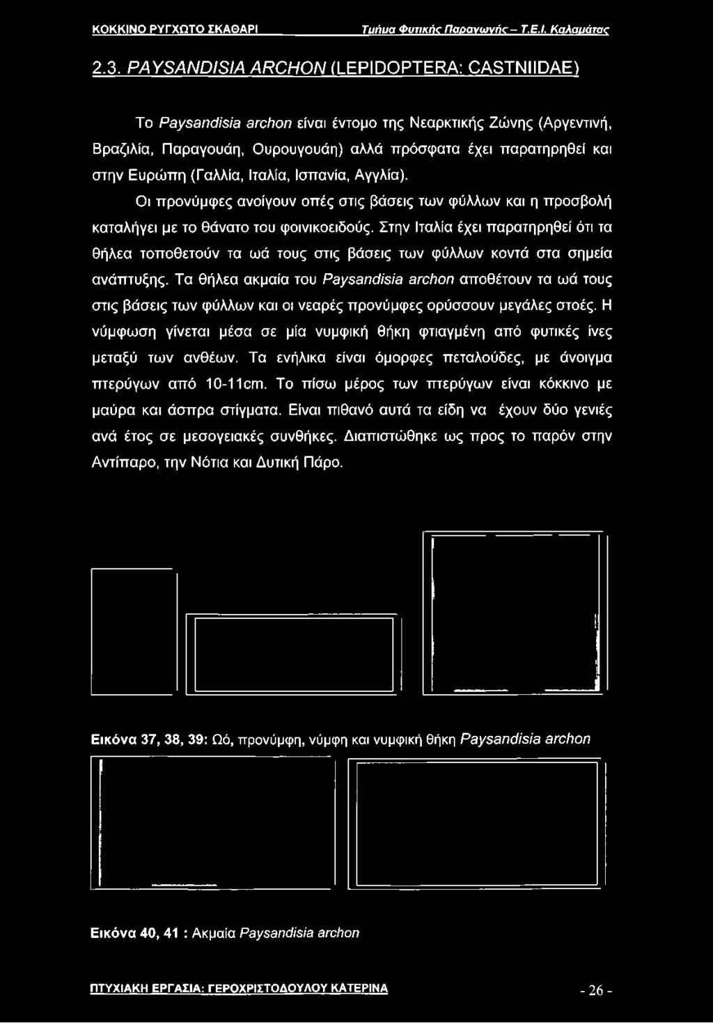 Βραζιλία, Παραγουάη, Ουρουγουάη) αλλά πρόσφατα έχει παρατηρηθεί και στην Ευρώπη (Γαλλία, Ιταλία, Ισπανία, Αγγλία).