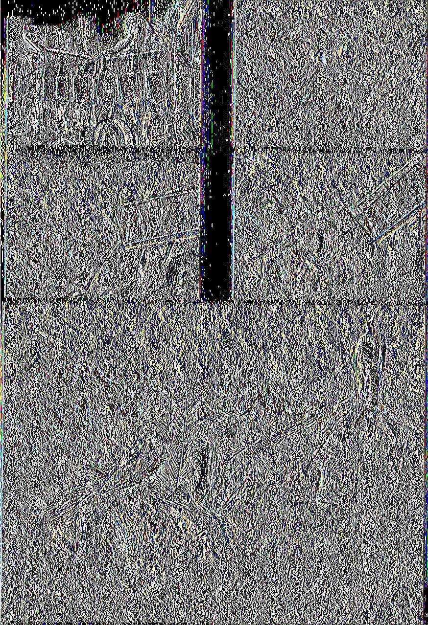 Τ.Ε.Ι.