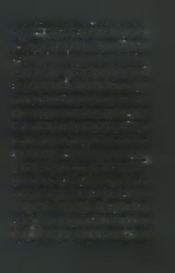 βραχίονες των δένδρων και μπορεί να προκαλέσει ζημιά.