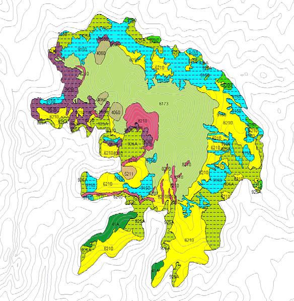 Σχεδιασμός-Παραγωγή χαρτών βλάστησης Ανάλυση-διαχείριση δεδομένων Τύποι οικοτόπων Παραρτήματος Ι 6173 Στεππικοί ασβεστόφιλοι και garland λειμώνες 6210
