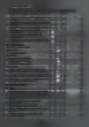 T.E.L ΚΑΛ