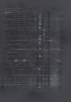 T.EJ. ΚΑΛ