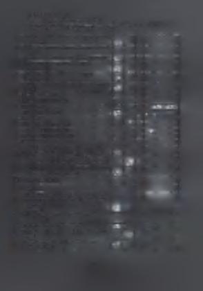 T.EJ. ΚΑΛΑ