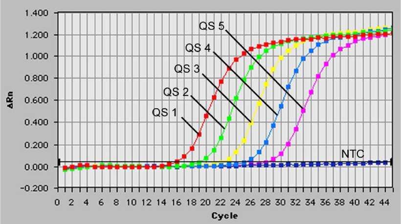 Εικ. 24: Ανίχνευση του προτύπου εσωτερικού ελέγχου (IC) μέσω της ανίχνευσης ενός σήματος φθορισμού VIC (ABI PRISM 7000 SDS) με ταυτόχρονο πολλαπλασιασμό των προτύπων