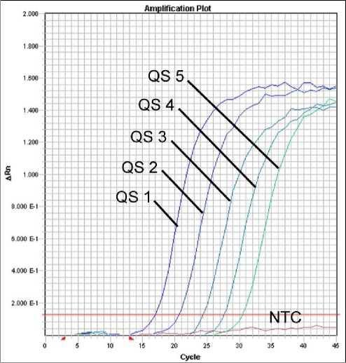 Εικ. 27: Ανίχνευση των προτύπων ποσοτικοποίησης (Parvo B19 RG/TM QS 1-5) μέσω της ανίχνευσης ενός σήματος