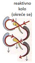 Pri tome rotor turbine dobija veći obrtni moment. Viši broj okreta.