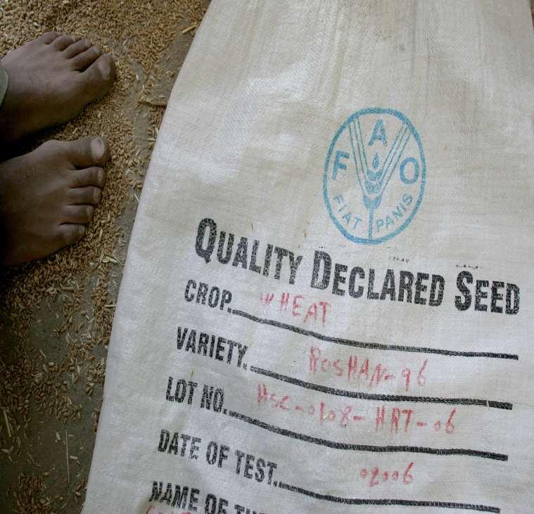 Βελτιωμένες ποικιλίες Ανοχή σε υψηλές θερμοκρασίες και ξηρασία CIMMYT: Drought Tolerant Maize for Africa 25% υψηλότερη απόδοση IRRI: Ποικιλία ρυζιού με ανοχή 18 ημερών στο νερό