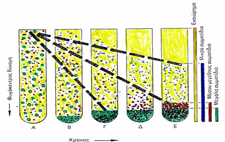 2. ΦΥΓΟΚΕΝΤΡΗΣΗ Μηχανική διεργασία διαχωρισμού κυττάρων, οργανιδίων