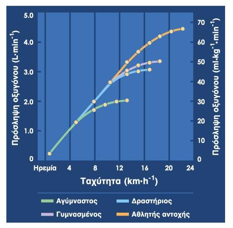 Βιολογικές προσαρμογές με την αερόβια προπόνηση Αύξηση της μέγιστης πρόσληψης οξυγόνου - VO2max.