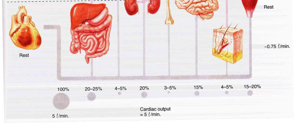 Howley: Exercise Physiology: Theory and