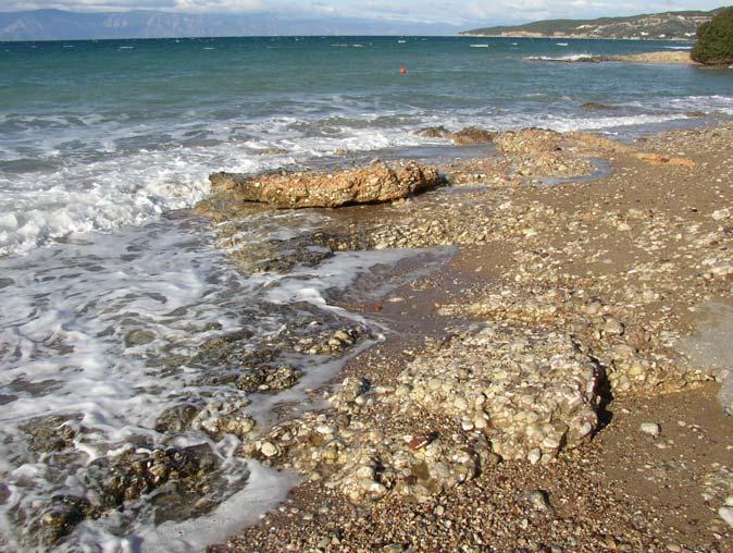 Ακολουθεί η ίδια διαδικασία µετατροπής του διανυσµατικού αρχείου της ζώνης της γεωλογίας σε ψηφιδωτό όµοια µε τις προηγούµενες µεταβλητές.