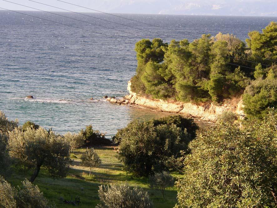 θέσεις, του νότιου κυρίως τµήµατος της περιοχής του Πόρτο Χελίου, όπου οι γεωλογικοί σχηµατισµοί είναι λιγότερο ανθεκτικοί στη θαλάσσια διάβρωση, όπως κροκαλοπαγή και µάργες του Νεογενούς,