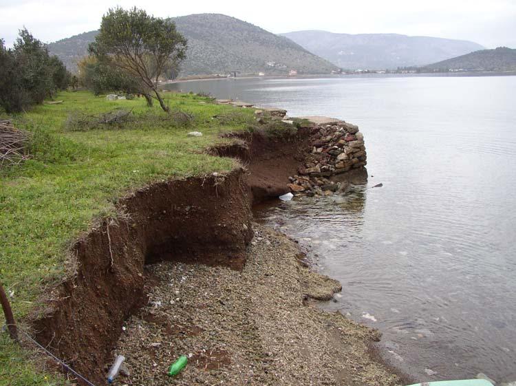 Φώτο 11. Υποχώρηση των κρηµνών του αλλουβιακού ριπιδίου στην επιφάνεια του οποίου έχει αναπτυχθεί έδαφος. 5.4.2 Παράκτιες γεωµορφές θαλάσσιας απόθεσης. 5.4.2.1 Αιγιαλοί.