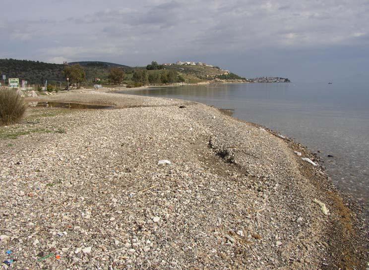 επεξεργασία και αναδιανοµή των υλικών των συνεκτικών αλλουβιακών ριπιδίων από τον κυµατισµό και το