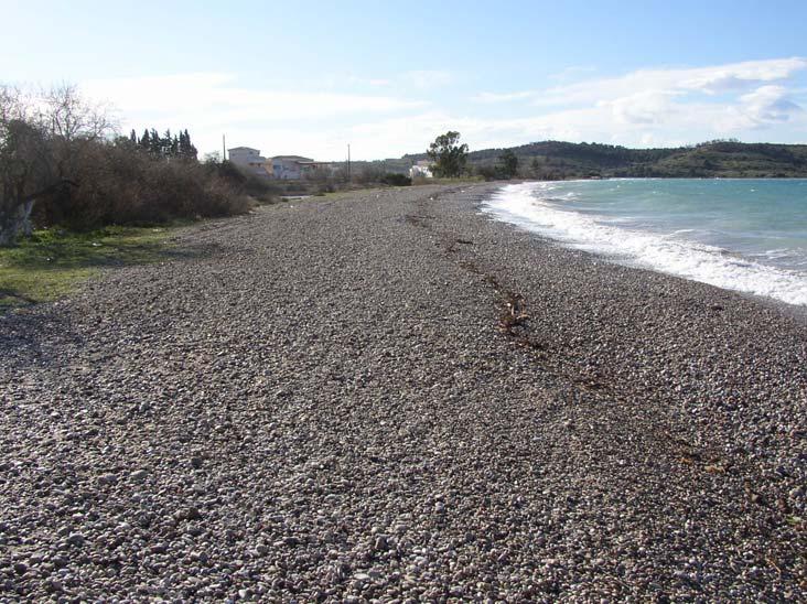 5.4.2.4. Παράκτια Έλη. Παράκτιο έλος είναι µια χαµηλή περιοχή που καλύπτεται µόνιµα ή περιοδικά από γλυκό, υφάλµυρο ή αλµυρό νερό και συνήθως διαθέτει βλάστηση από υδρόβια φυτά (Pethic J., 1984).