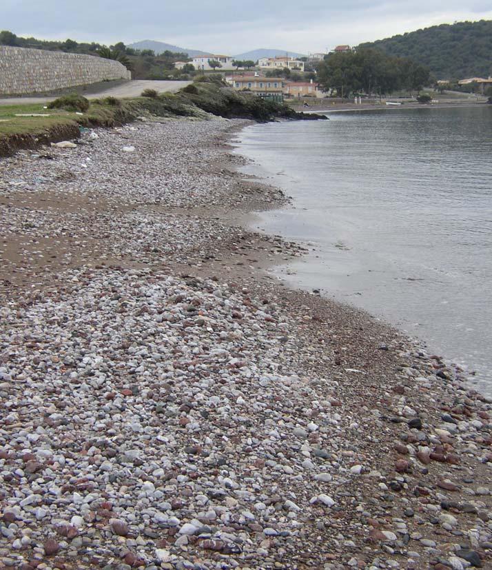 Φώτο 29. Ηµισεληνοειδείς σχηµατισµοί από κροκάλες στην περιοχή Κουβέρτα στην Ερµιόνη. 5.5. Παράκτιες ανθρωπογενείς επεµβάσεις και κατασκευές. 5.5.1. Αρχαιότητες.