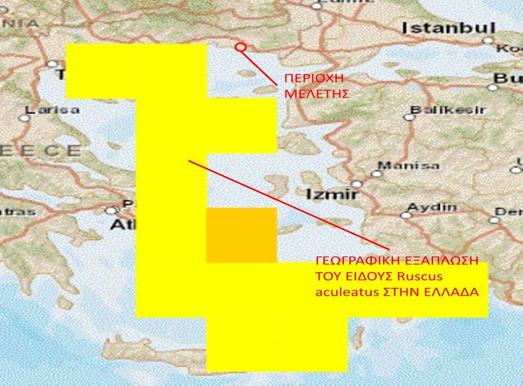 Σχήμα 7.6.1.2. Γεωγραφική εξάπλωση του είδους Ruscus aculeatus στην Ελλάδα (Πηγή: http://eunis.eea.europa.